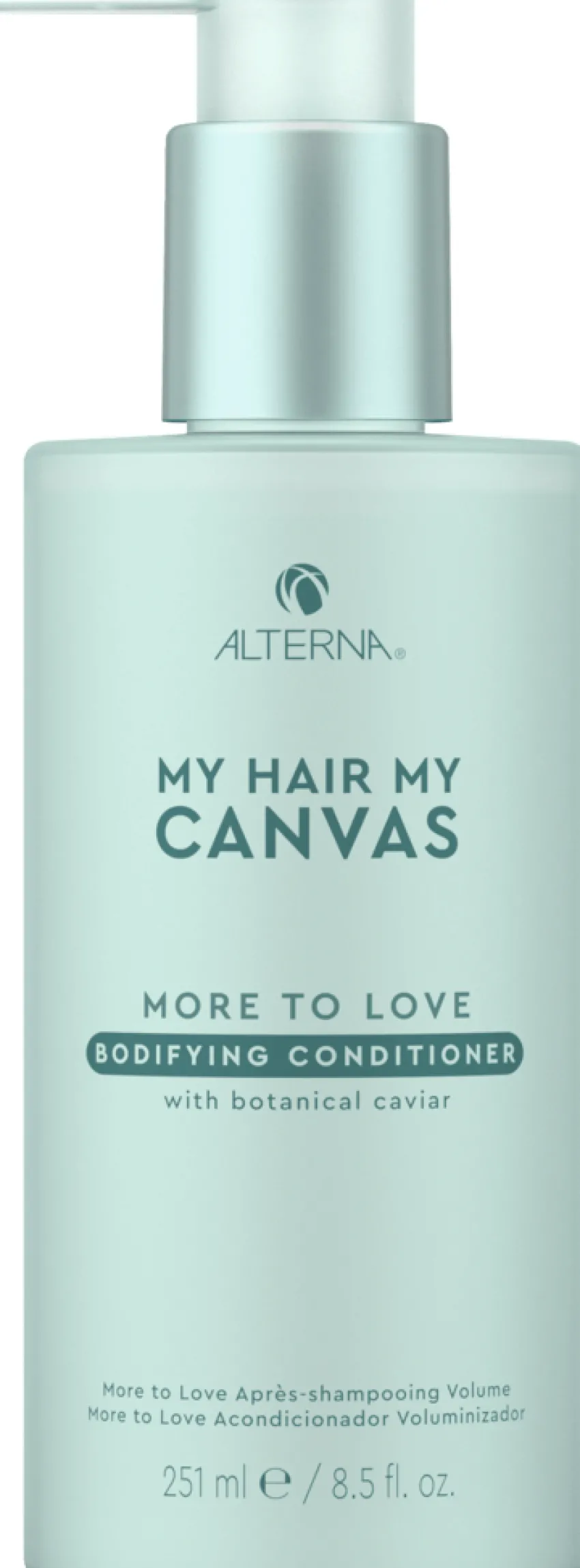 Best Alterna My Hair My Canvas More to Love Bodifying Conditioner