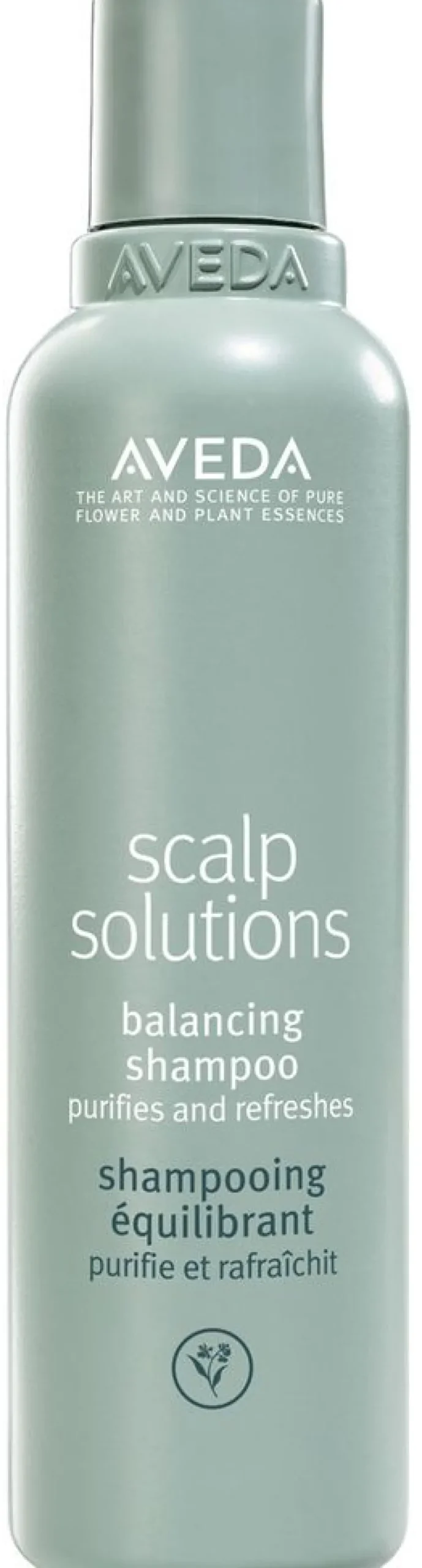 Hot Aveda Scalp Solutions Balancing Shampoo