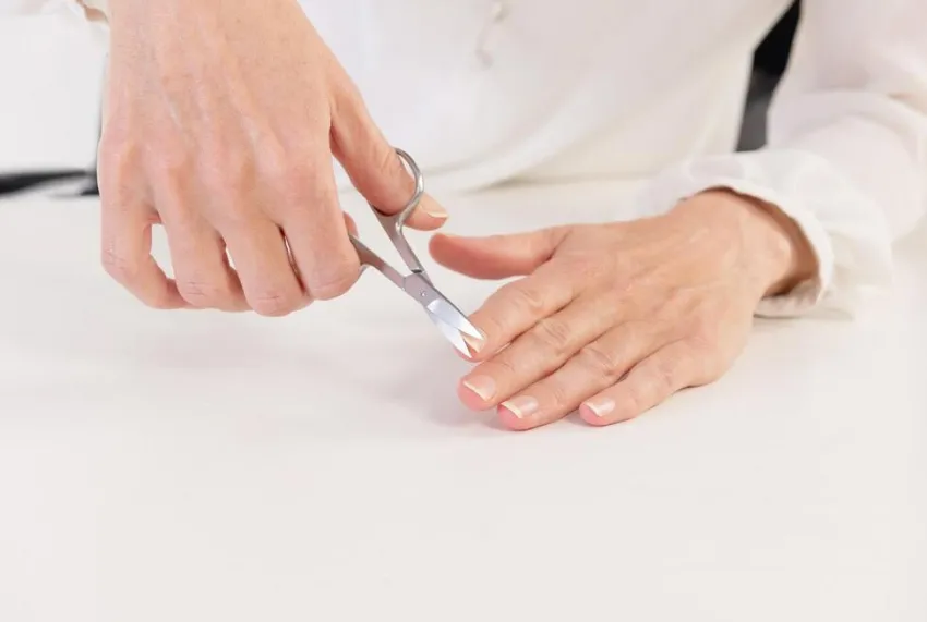 Hot Canal Instrumente Canal Nagelschere gebogen 9cm