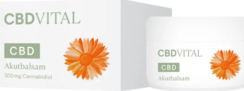 Hot CBD VITAL Akutbalsam