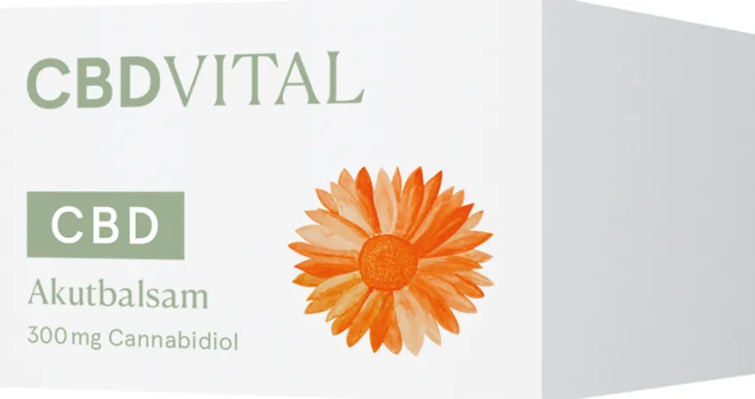Hot CBD VITAL Akutbalsam
