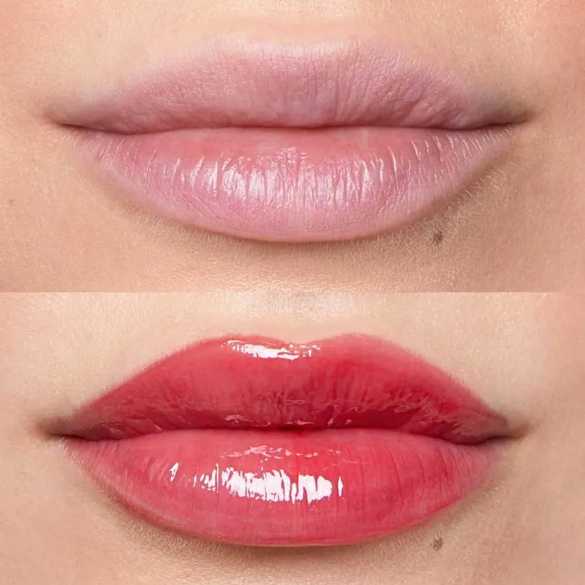 Fashion Fleeky Plumpy Lip Gloss