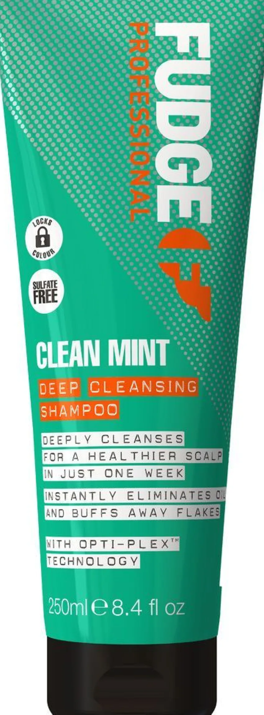 Discount Fudge Clean Mint Shampoo