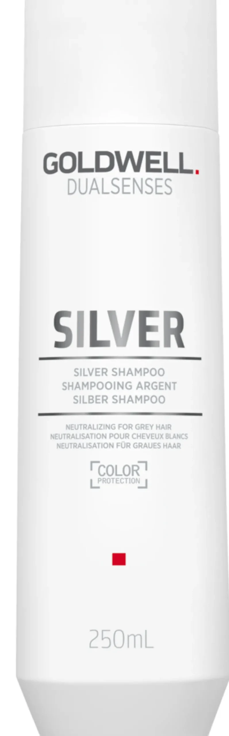 Outlet Goldwell Dualsenses Silver Shampoo