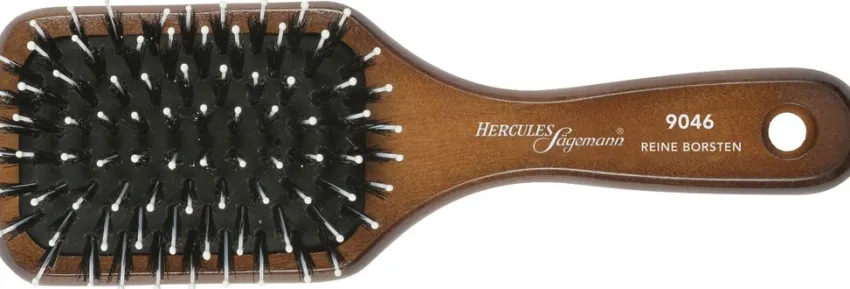 Sale Hercules Sägemann Paddle Brush 9046