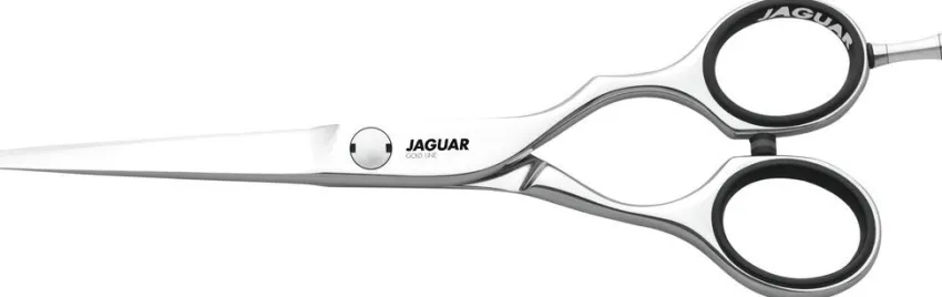 Fashion Jaguar Diamond
