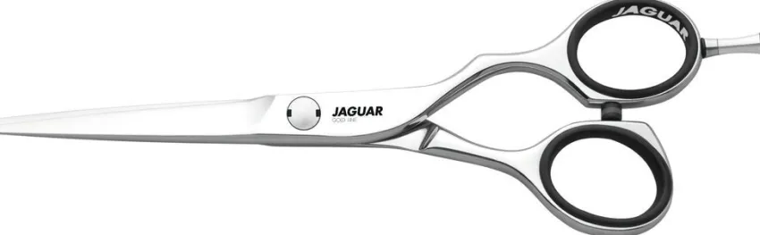 Online Jaguar Diamond E