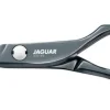 Sale Jaguar Diamond E Titan