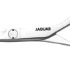 Hot Jaguar Evolution