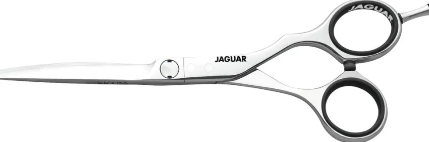 Hot Jaguar Evolution