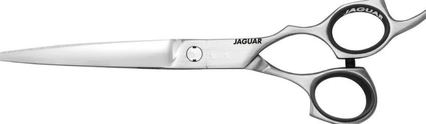 Outlet Jaguar Giant