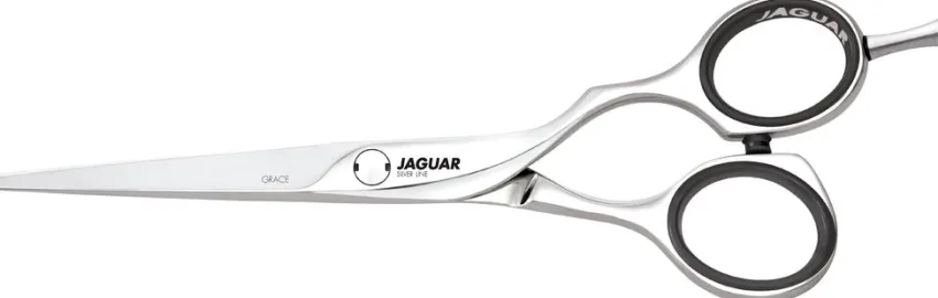 Sale Jaguar Grace