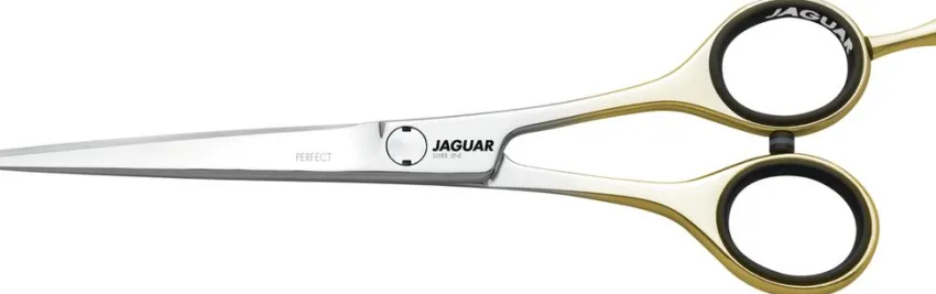 Best Jaguar Perfect