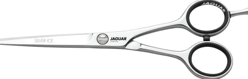 Fashion Jaguar Silver Ice