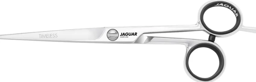 Best Jaguar Timeless