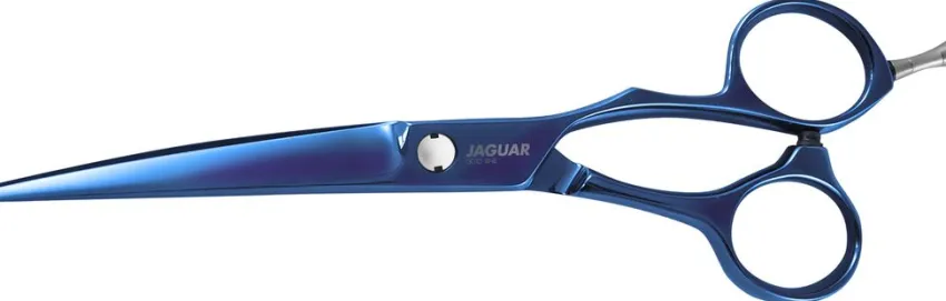 Outlet Jaguar Xenox TB