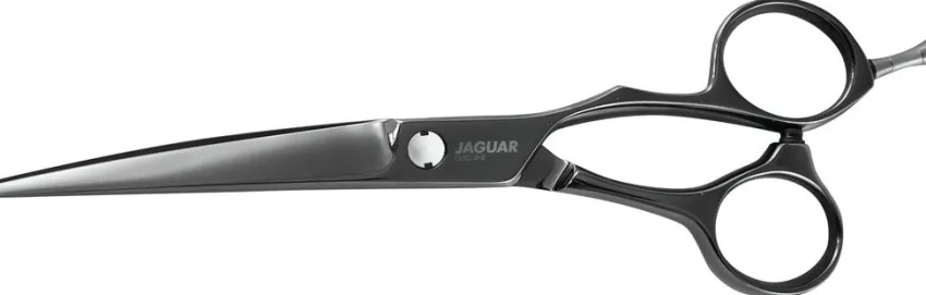 Sale Jaguar Xenox Titan