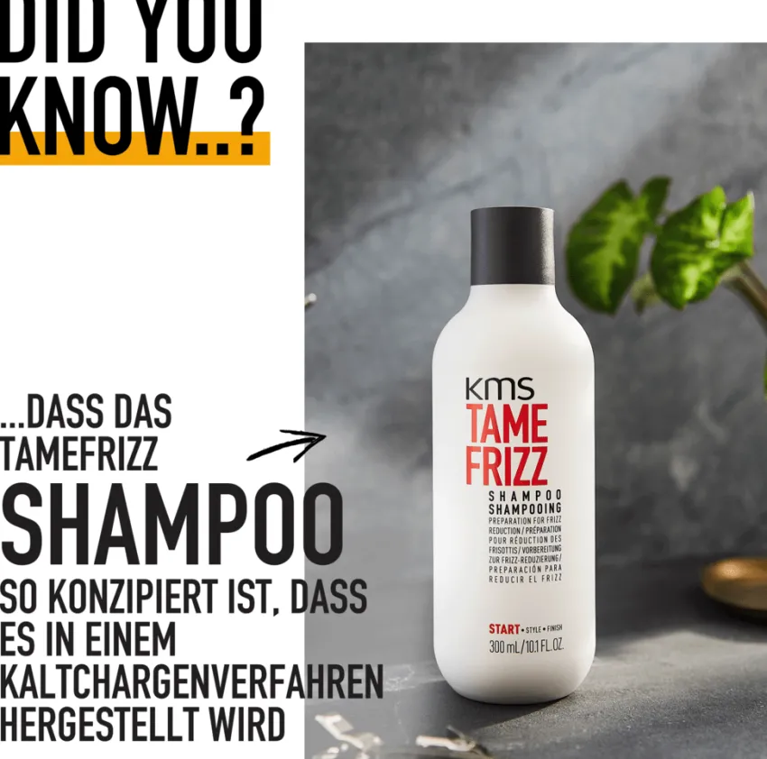 Hot KMS Tamefrizz Shampoo