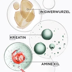 Outlet Kérastase Genesis Homme Bain de Masse Épaississant
