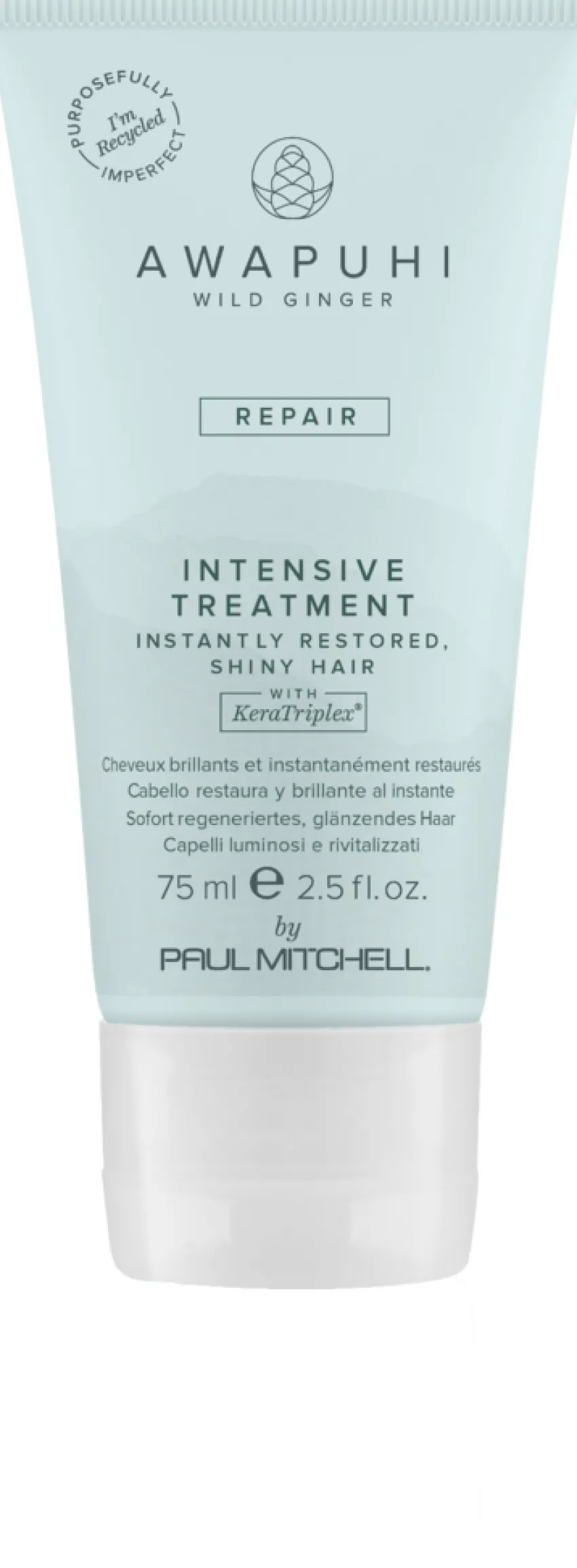 Clearance Paul Mitchell Awapuhi Wild Ginger Repair Intensive Treatment