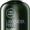 Clearance Paul Mitchell Lavender Mint Moisture Milk