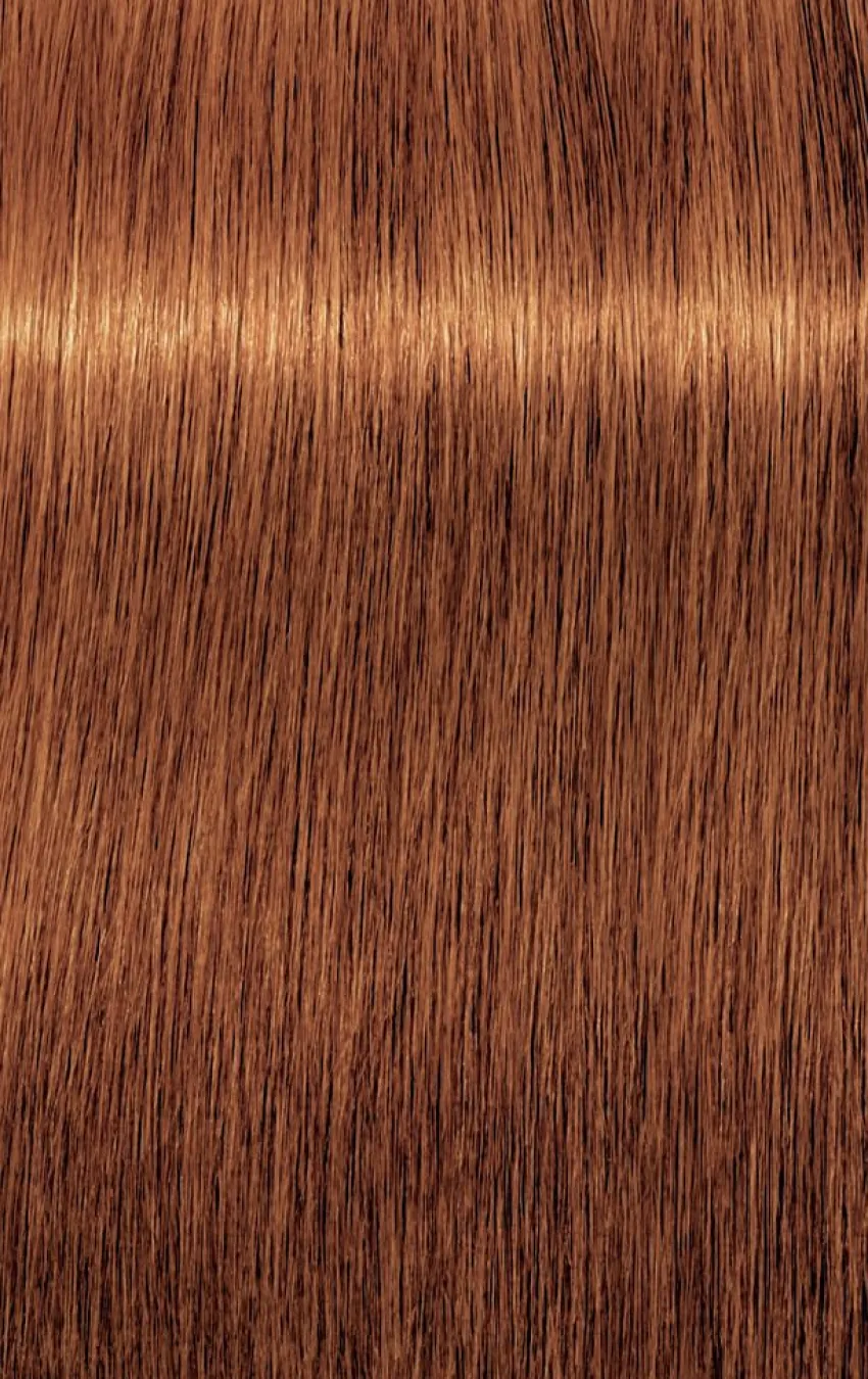 New Schwarzkopf Professional Schwarzkopf Igora Royal Absolutes