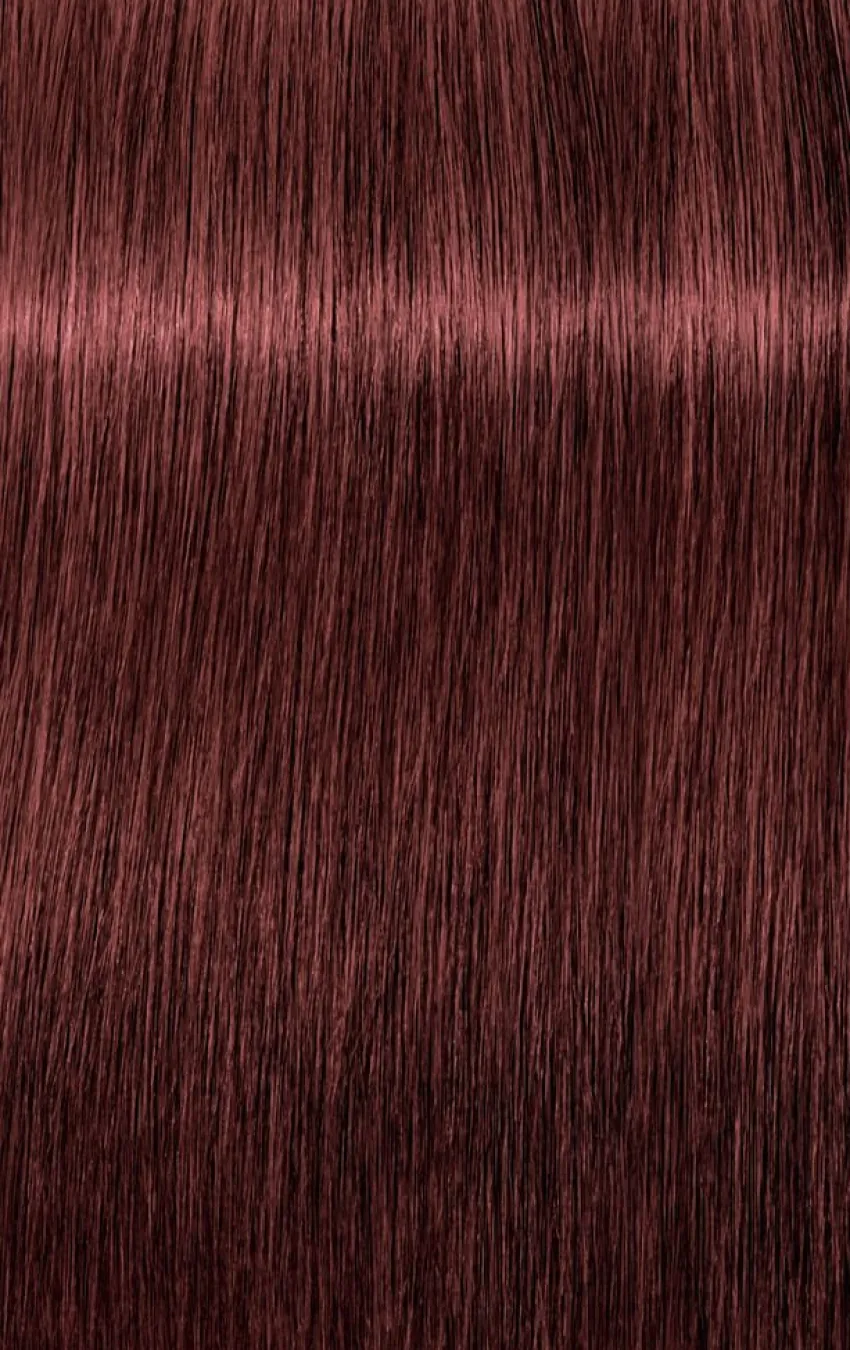 New Schwarzkopf Professional Schwarzkopf Igora Royal Absolutes
