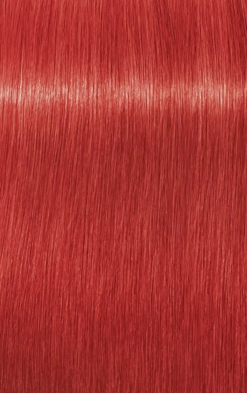 Hot Schwarzkopf Professional Schwarzkopf Igora Royal Mix