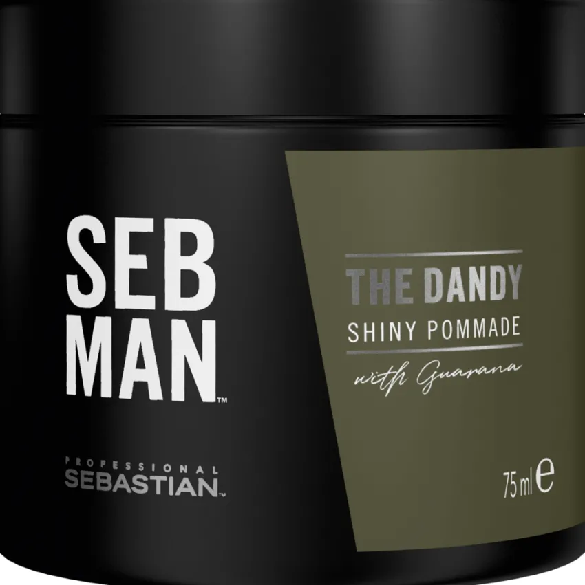 Discount Sebastian Seb Man The Dandy - Light Hold Pomade