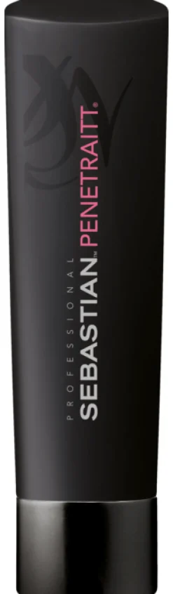 Clearance Sebastian Penetraitt Shampoo