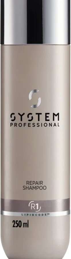 Fashion System Professional Lipid Code Repair Shampoo